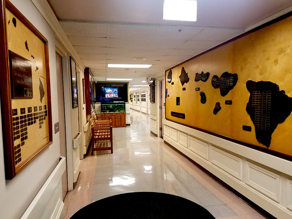 Nursing Homes In Honolulu Hi Homemade Ftempo